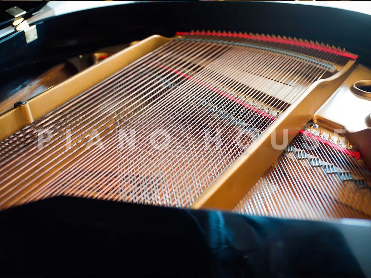 Hình ảnh chi tiết YAMAHA G1 PE góc chụp 7