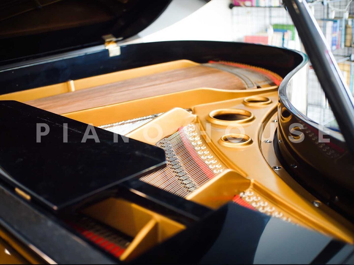 YAMAHA G1 PE - Ảnh thực tế 8