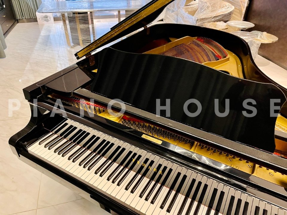 YAMAHA G3 - Ảnh thực tế 8