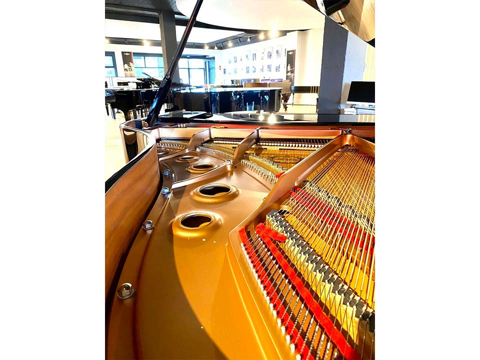 Hình ảnh chi tiết YAMAHA C3B góc chụp 7