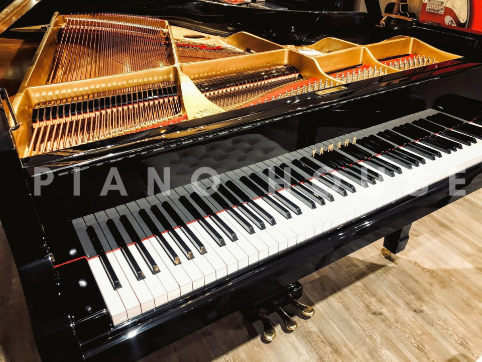 YAMAHA G3E - Ảnh thực tế 8