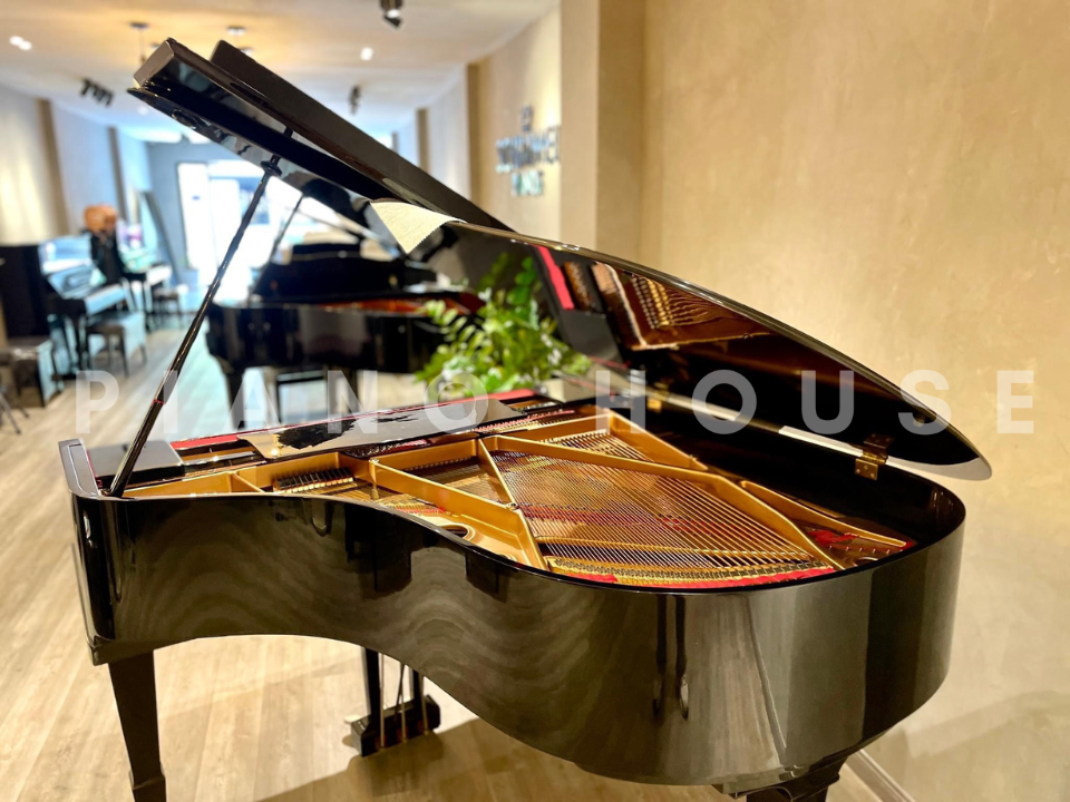Hình ảnh chi tiết YAMAHA G2 góc chụp 2