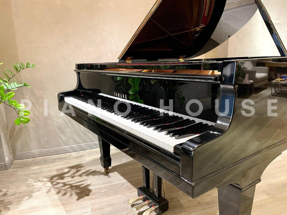 YAMAHA G2 - Ảnh thực tế 3
