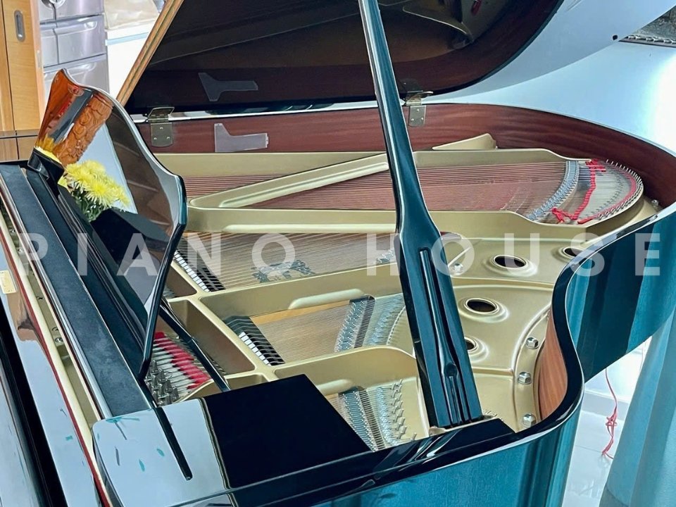 Chi tiết đàn YAMAHA G3E - Hình 4