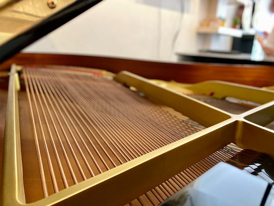 YAMAHA C5 - Ảnh thực tế 8