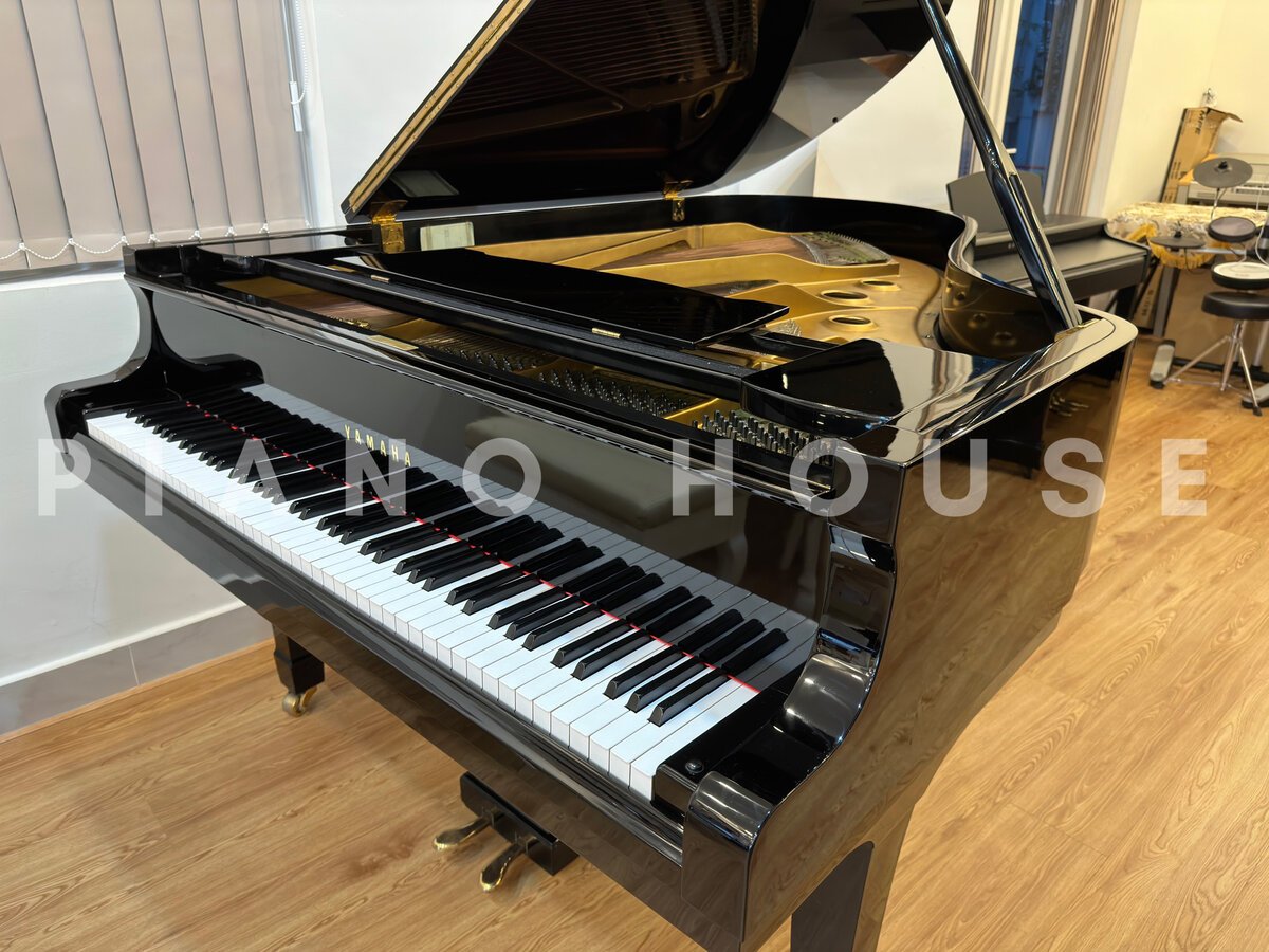 Góc nghiêng thể hiện đường cong tinh tế của thân đàn YAMAHA G5