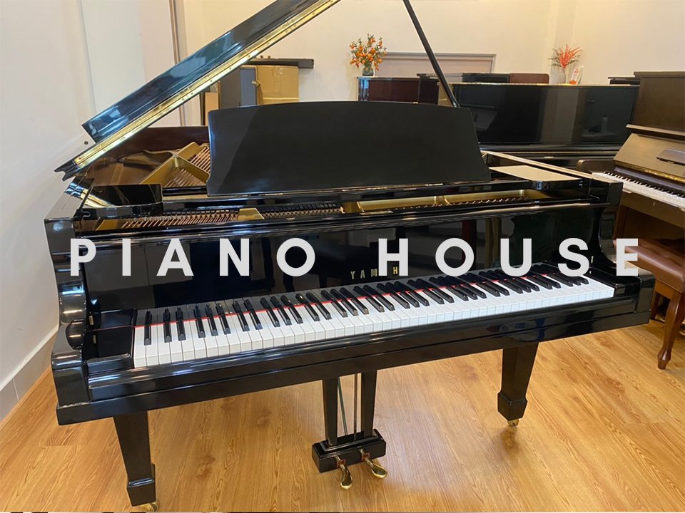 Hình ảnh chi tiết Yamaha G7 góc chụp 2