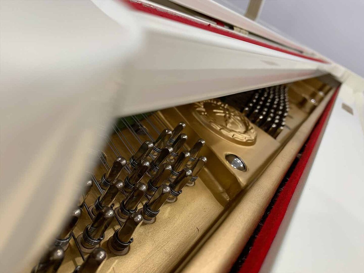 YAMAHA G3 WH - Ảnh thực tế 3