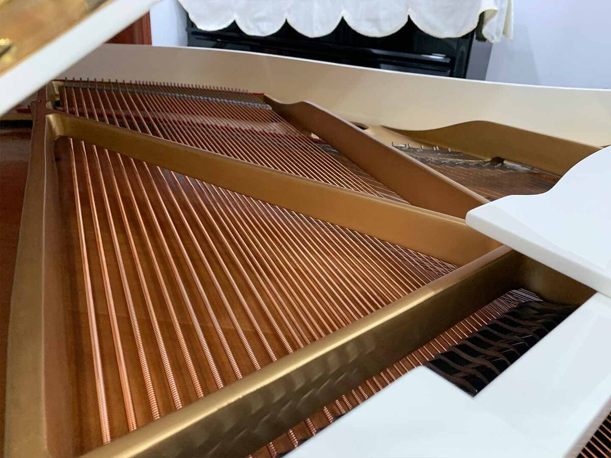 Chi tiết đàn YAMAHA G3 WH - Hình 4