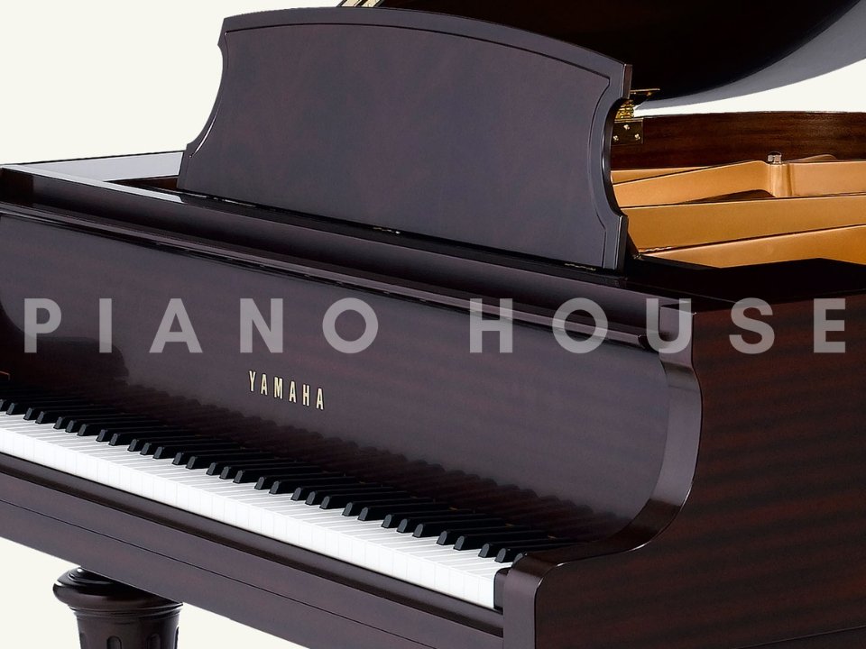 Hình ảnh chi tiết YAMAHA GB1KG (Georgian) góc chụp 2