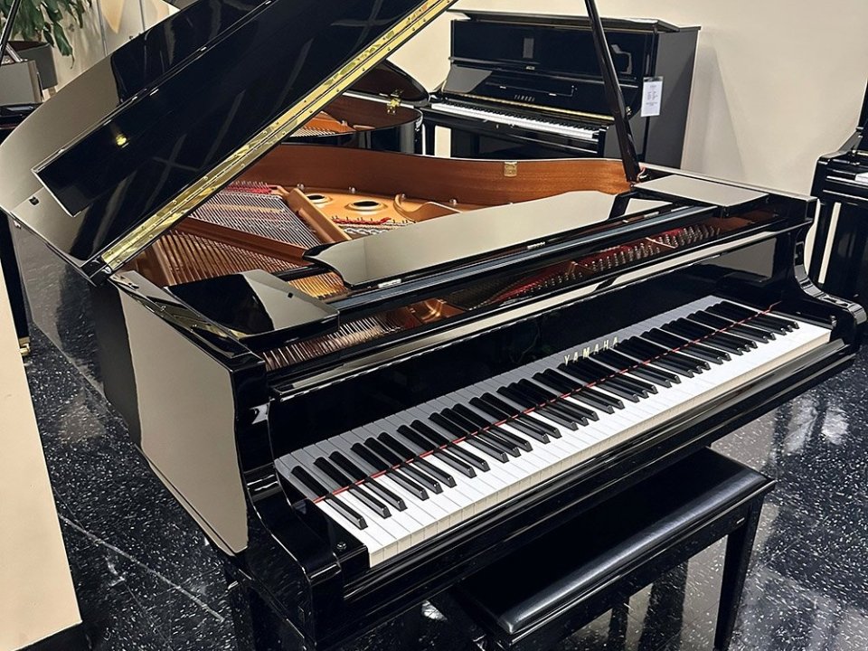 YAMAHA GC1 PE - Ảnh thực tế 8