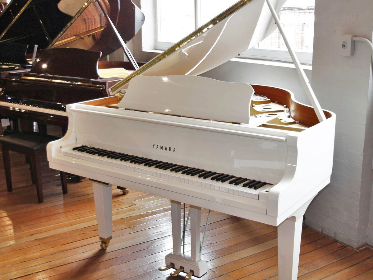 Chi tiết đàn YAMAHA GB1K PWH - Hình 4