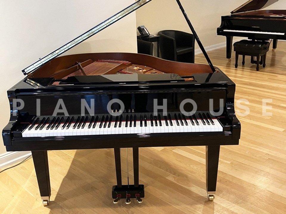 Hình ảnh chi tiết YAMAHA GB1K PE (USED) góc chụp 2