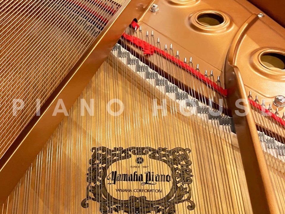 YAMAHA GB1K PE (USED) - Góc nhìn thực tế 6