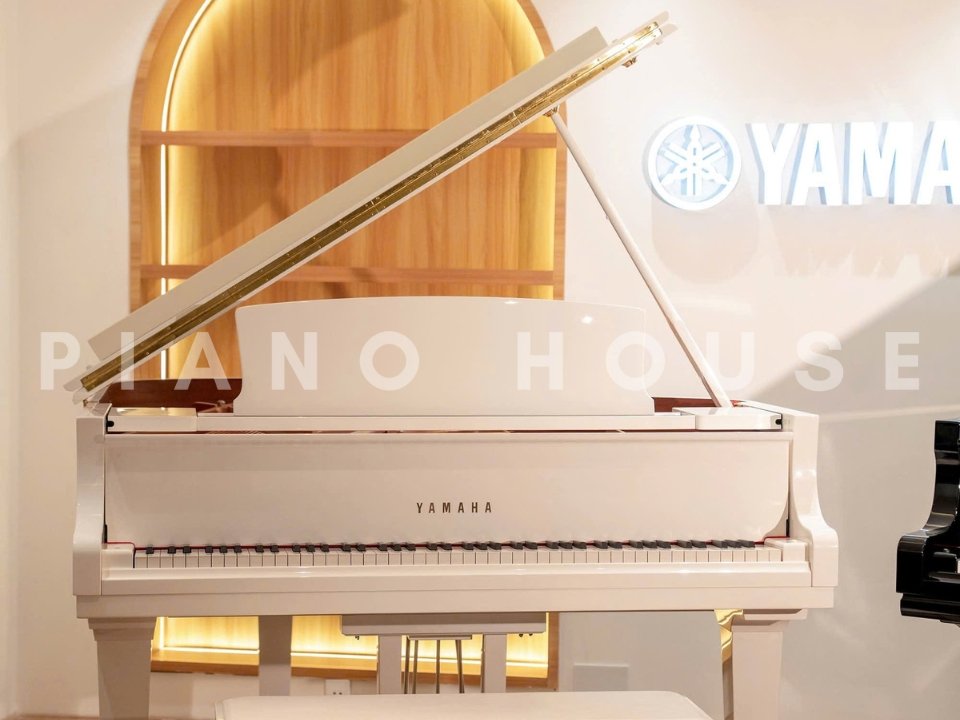 Hình ảnh chi tiết YAMAHA GB1K PWH góc chụp 2