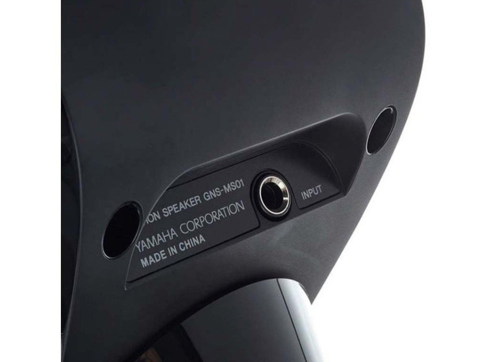 Chi tiết đàn Loa Yamaha GNS-MS01 - Hình 4