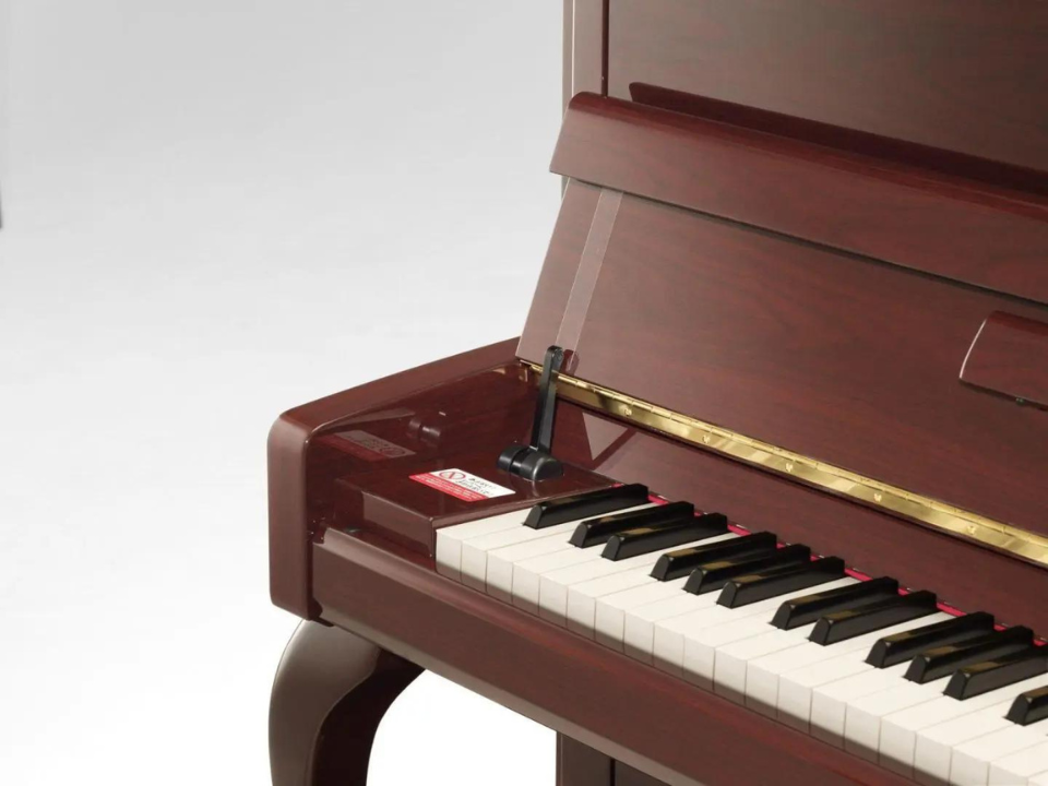 Hình ảnh chi tiết Yamaha B113 góc chụp 2