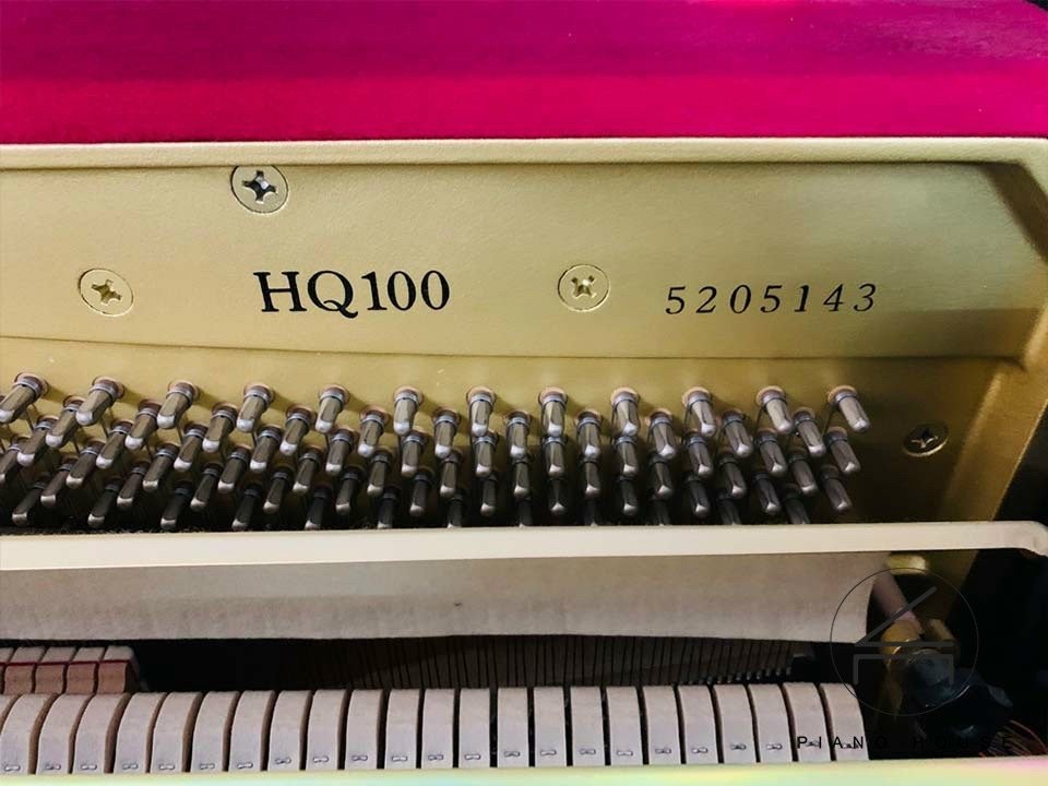 Hình ảnh chi tiết YAMAHA HQ90 SXG góc chụp 2