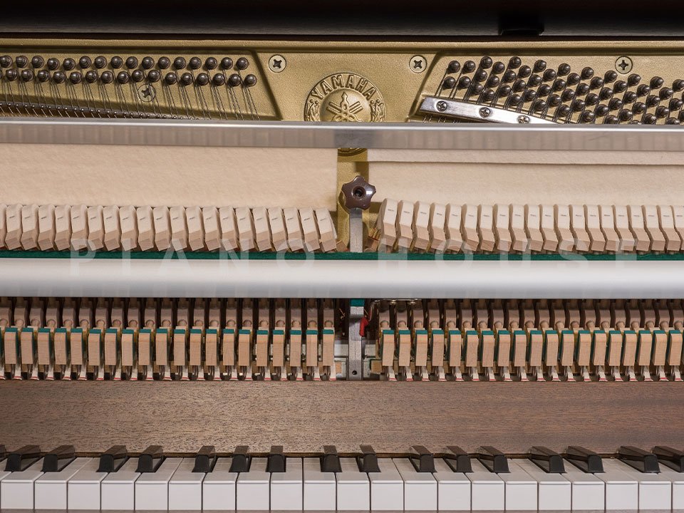 YAMAHA P110 WN - Góc nhìn thực tế 6
