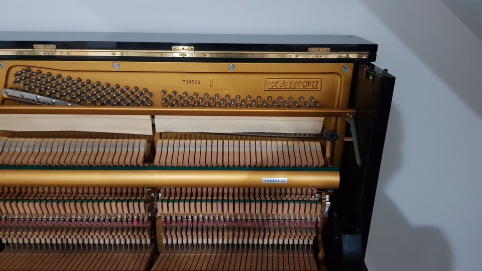 KAISER K1 - Ảnh thực tế 3