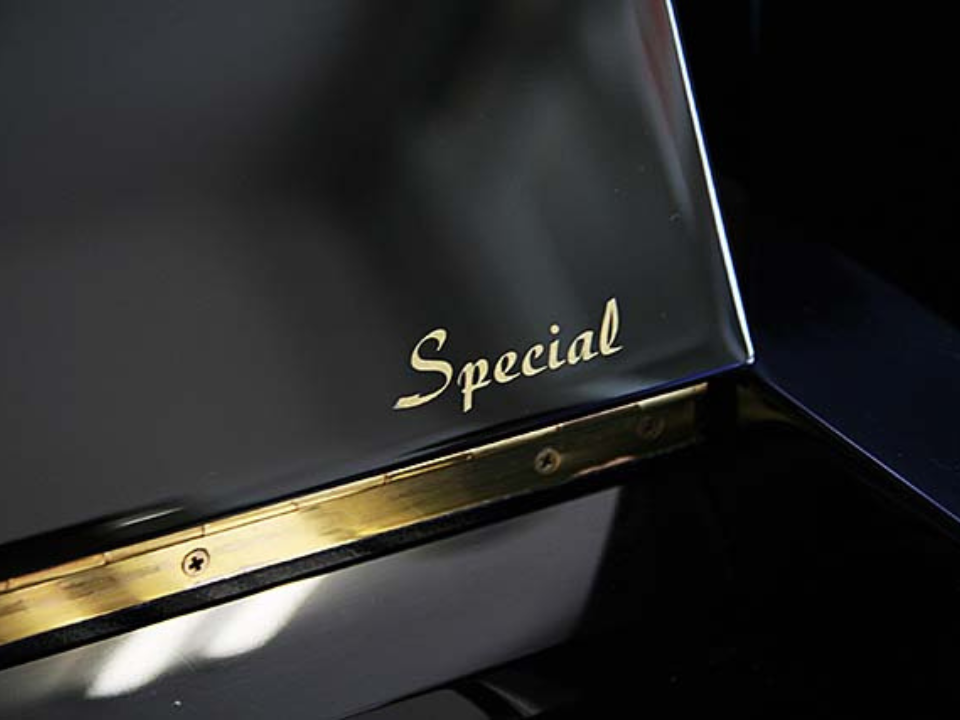 KAWAI CX-21DP - Ảnh thực tế 3