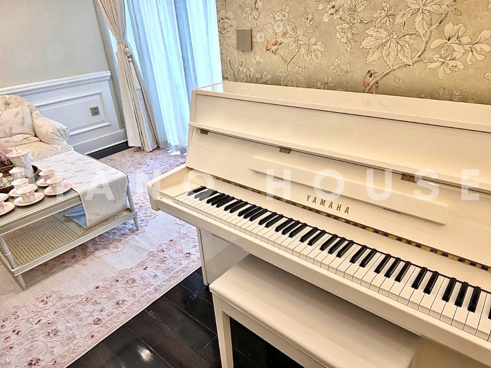 Chi tiết đàn YAMAHA JU109 PWH - Hình 4