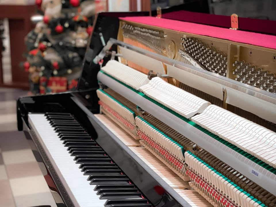 Chi tiết đàn YAMAHA JU109 PE - Hình 4