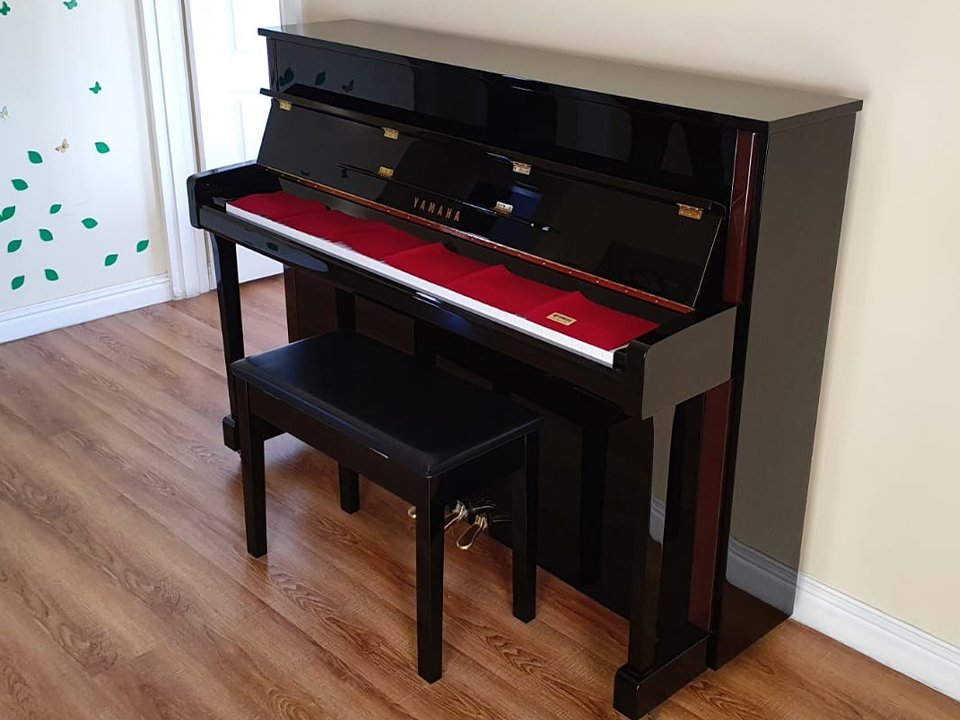 Hình ảnh chi tiết YAMAHA JX113T PE góc chụp 2