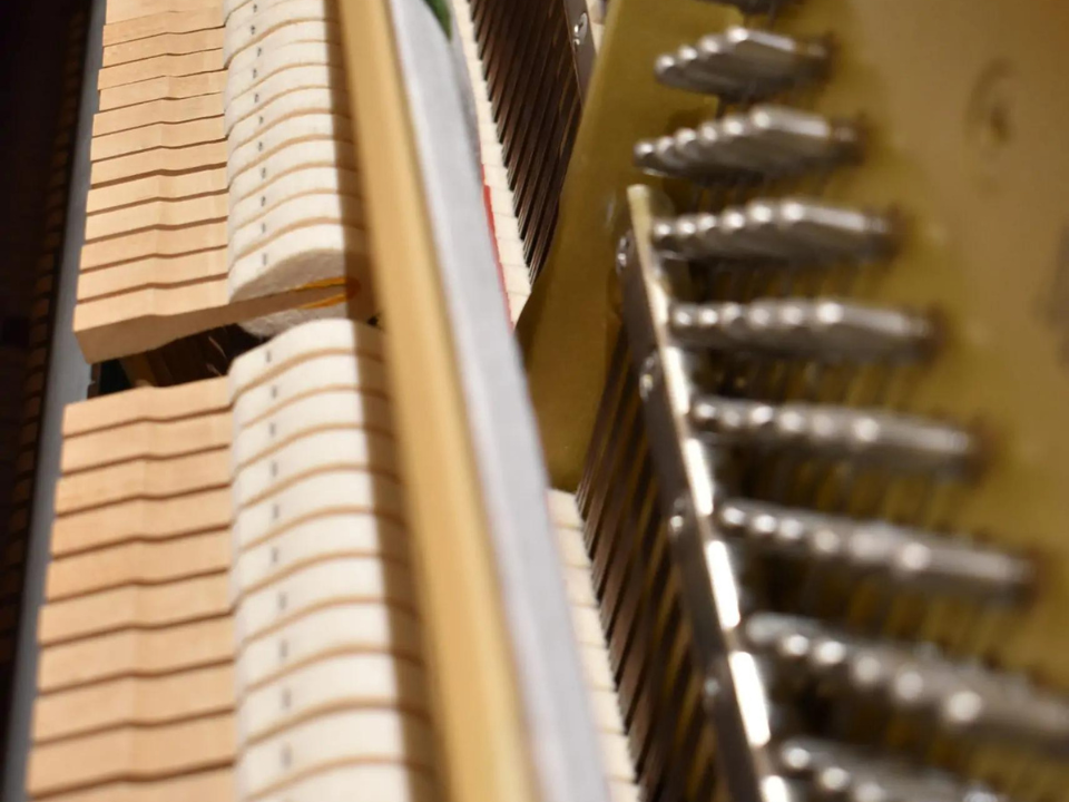 YAMAHA MC1AWnC - Ảnh thực tế 3