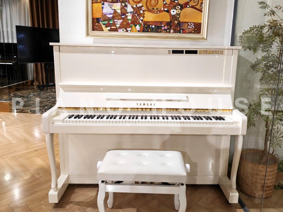 Hình ảnh chi tiết YAMAHA MX200R WH góc chụp 2