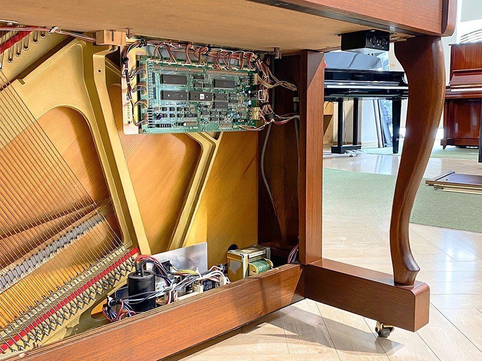 YAMAHA SX101RWNC - Ảnh thực tế 3