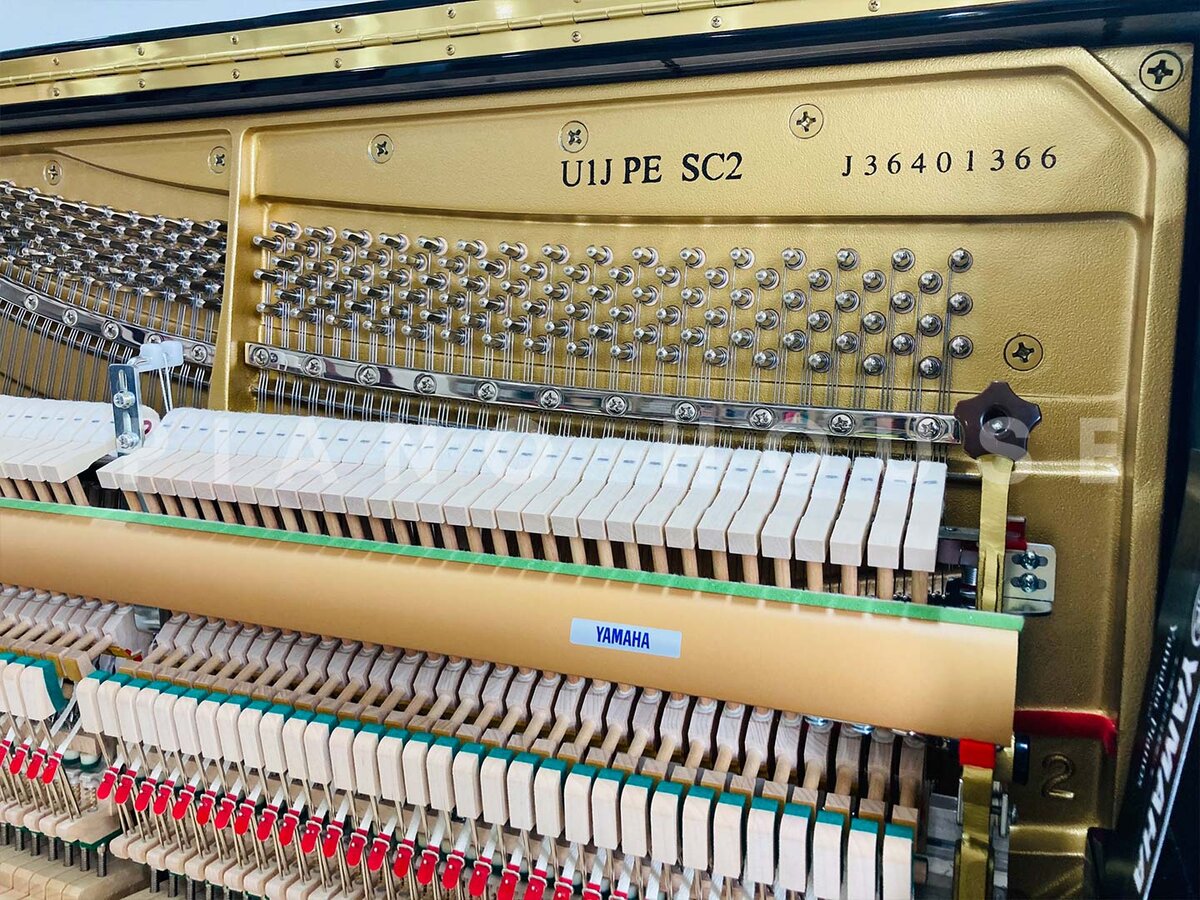 Cận cảnh YAMAHA U1J SC3 PE tại Piano House
