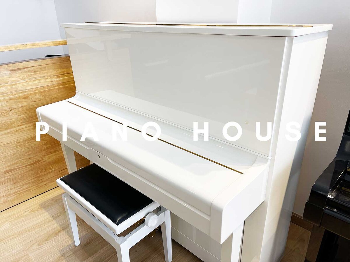 Hình ảnh chi tiết YAMAHA U2B góc chụp 2