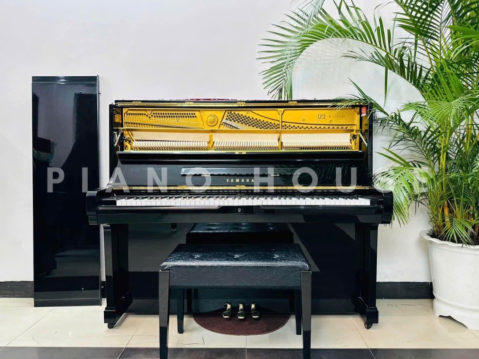 YAMAHA U2H - Ảnh thực tế 3