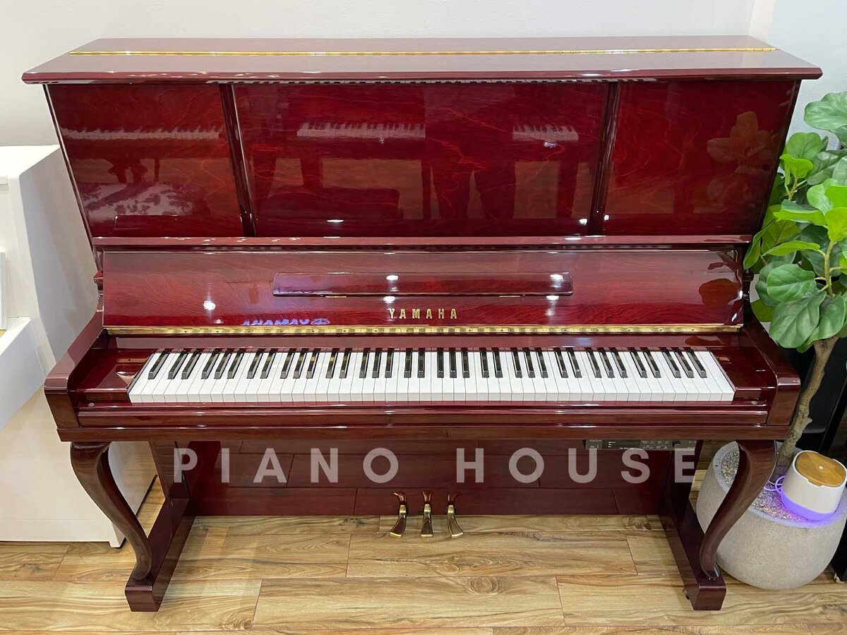 Hình ảnh chi tiết YAMAHA U30BiC góc chụp 2