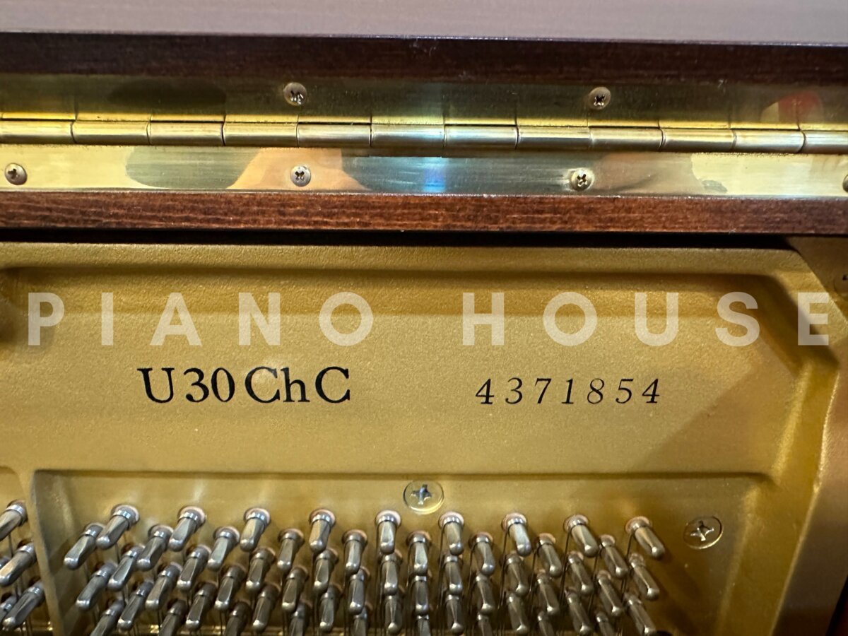 YAMAHA U30 ChC - Góc nhìn thực tế 6