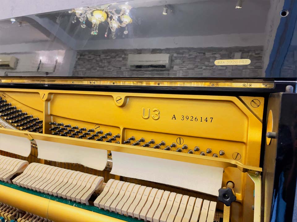 YAMAHA U3A - Ảnh thực tế 8