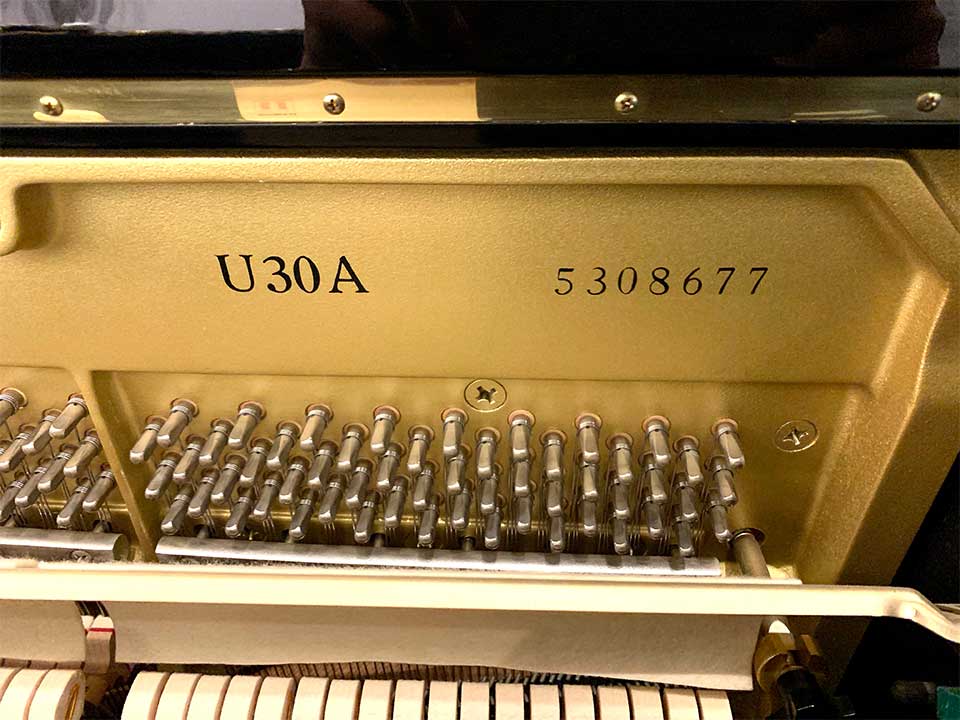 YAMAHA U30A - Góc nhìn thực tế 6