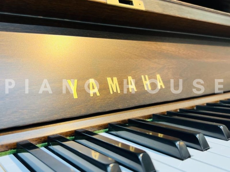 YAMAHA W201B - Ảnh thực tế 3