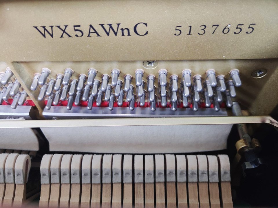 YAMAHA WX5A Wn - Ảnh thực tế 8