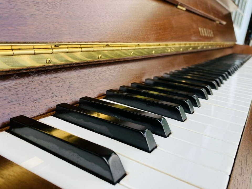 Chi tiết đàn YAMAHA W116WT - Hình 4