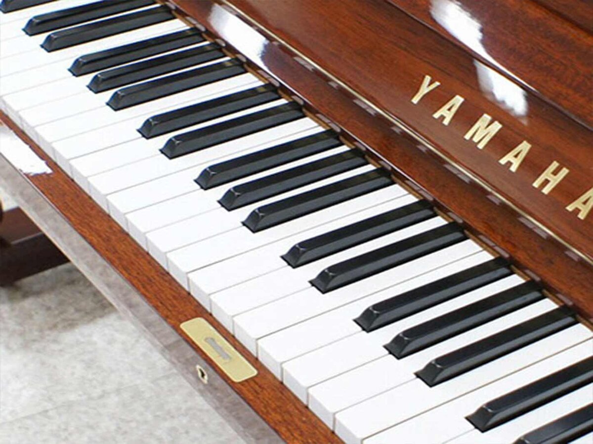 Chi tiết đàn YAMAHA W102BS - Hình 4