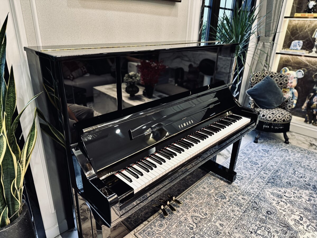 YAMAHA YU30SEB - Ảnh thực tế 3