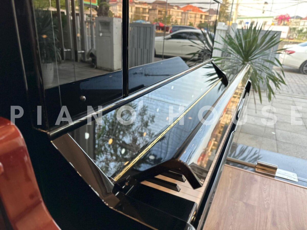 Hình ảnh chi tiết YAMAHA YU33 góc chụp 7