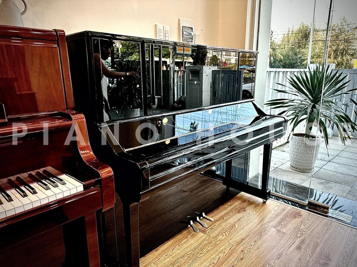 Hình ảnh chi tiết YAMAHA YS30 SB Silent góc chụp 2