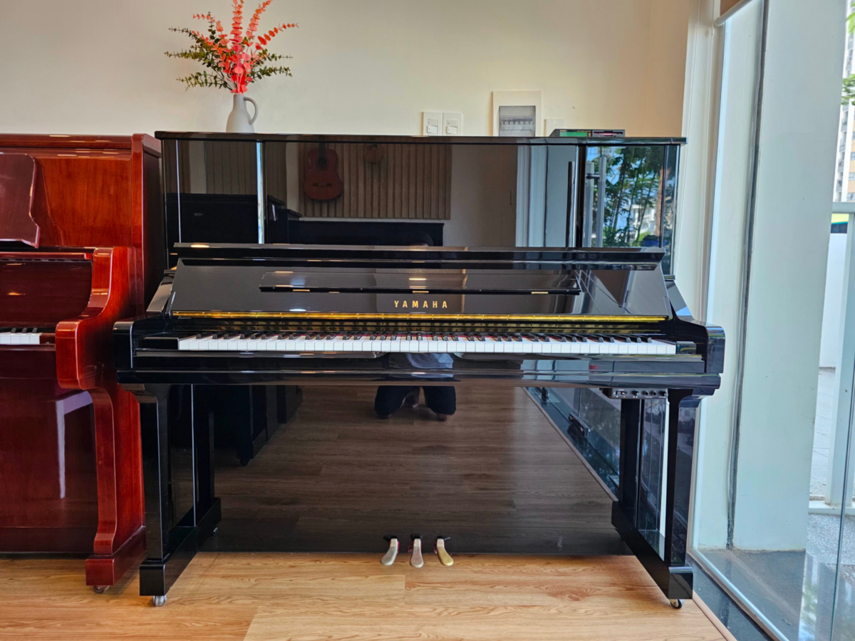 Hình ảnh chi tiết YAMAHA YU33 góc chụp 2