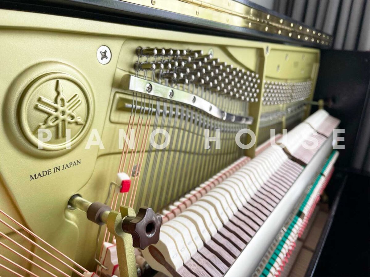 YAMAHA YUS5 SH3 PE (new) - Ảnh thực tế 8