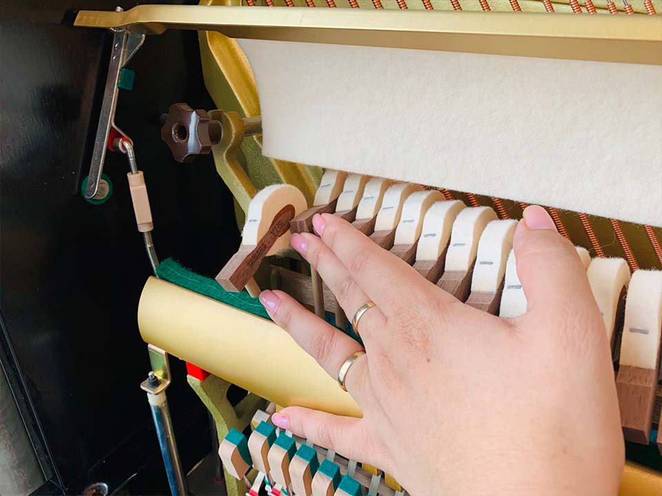 Hình ảnh chi tiết YAMAHA YUS5 SH3 PE (new) góc chụp 7