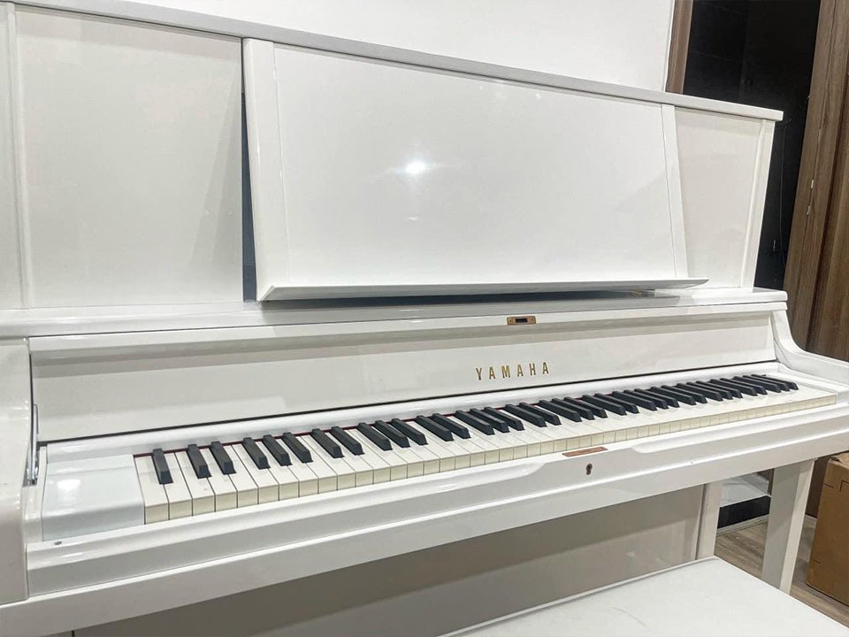 Chi tiết đàn YAMAHA YUS5 PWH (new) - Hình 4