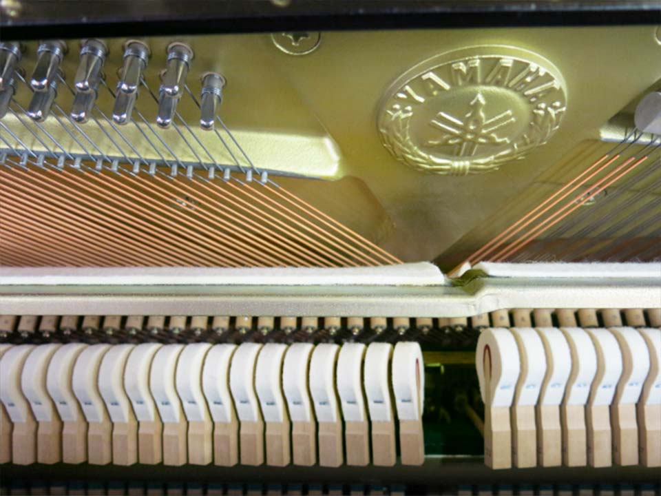 YAMAHA YU1 - Ảnh thực tế 3